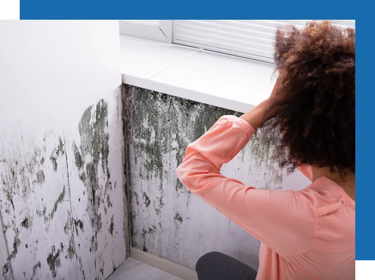 Mold growing on a wall while a homeowner looks on